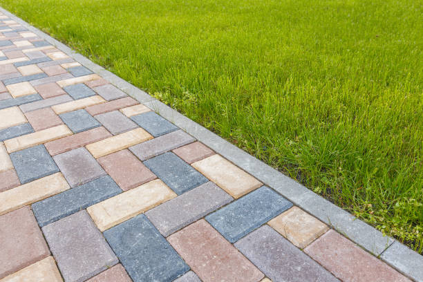 Best Driveway Pavers Near Me  in Picnic Point, WA